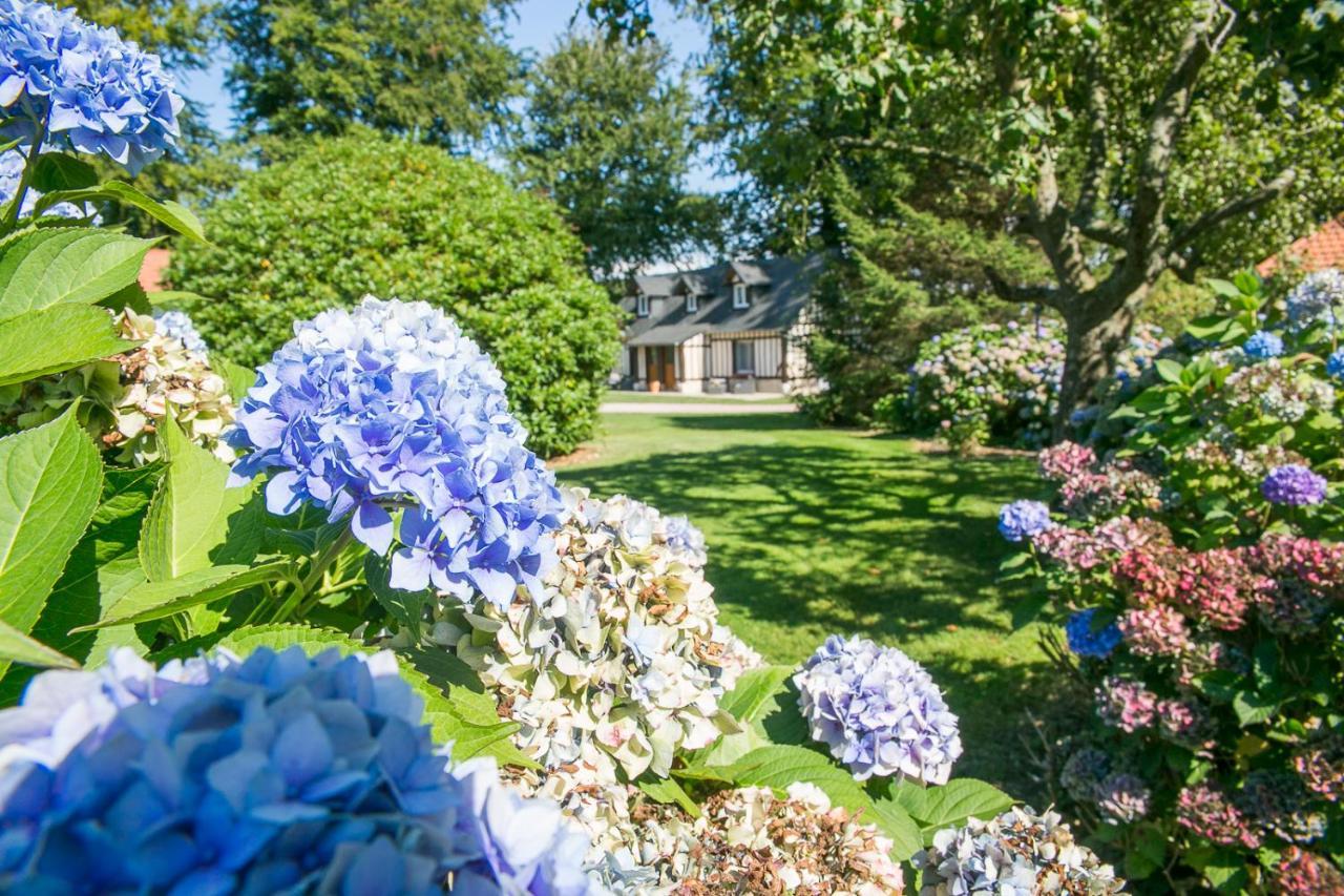Clos Celeste - Campagne D Etretat Avec Piscine Et Spa (Adults Only) Écrainville المظهر الخارجي الصورة
